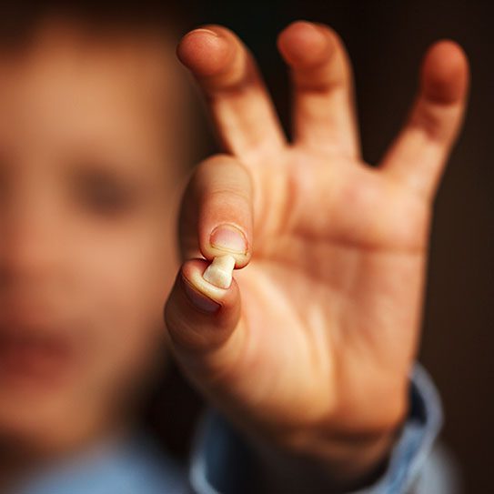 Dental Arts on Essex -